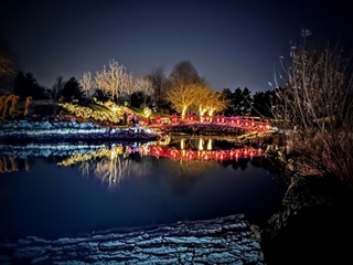 image Night Lights