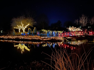 image Night Lights '24