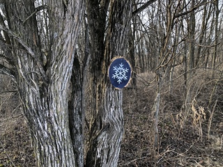 image 2025 Snowflake Search- EXTENDED UNTIL MARCH 9!