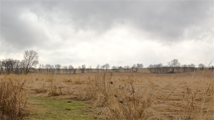 image Garden Speaker Series: The Birth and Demise of Illinois' Grand Prairie