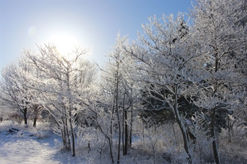 image Dawn of Winter Hike