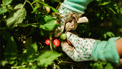 image Garden Speaker Series: Sola Gratia Farm