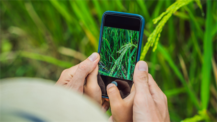 image Conservation in Action: iNaturalist App Training