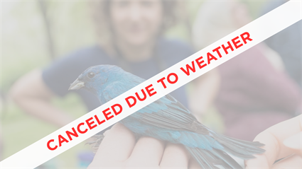 image Canceled - Bird Mist Netting Demonstration 2026