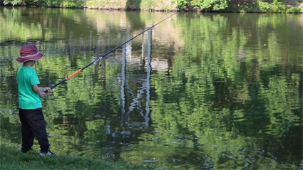 image Fishing for Beginners