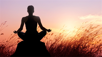 image Gentle Flow Yoga