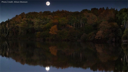 image Full Moon Guided Hike