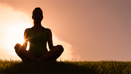 image Beginner Vinyasa Flow