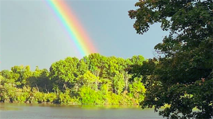 image OUTside in Champaign Forests