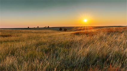 image Untold Story of the Potawatomi Trail of Death: it Happened Right Here! 