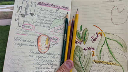 image Flora Field Notes for Teens