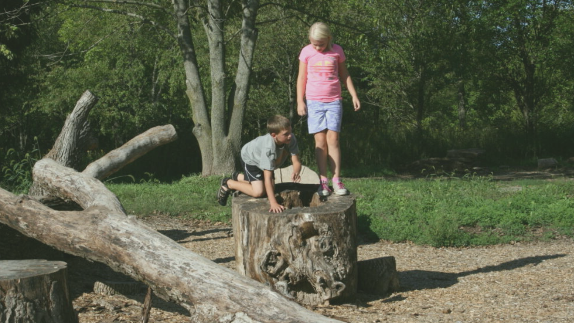 News | Champaign County Forest Preserve District