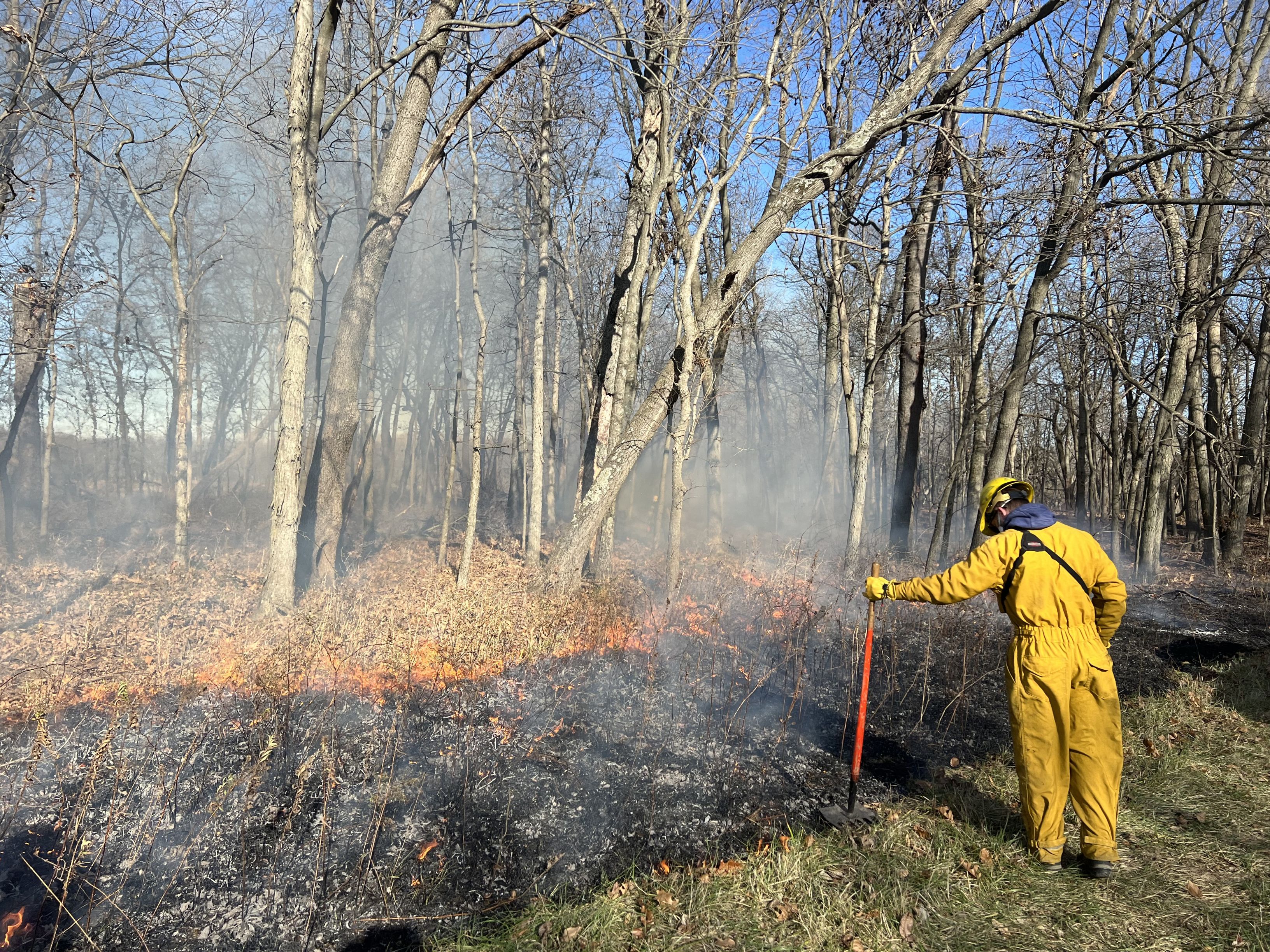 Prescribed Burns Cont. (hidden title)