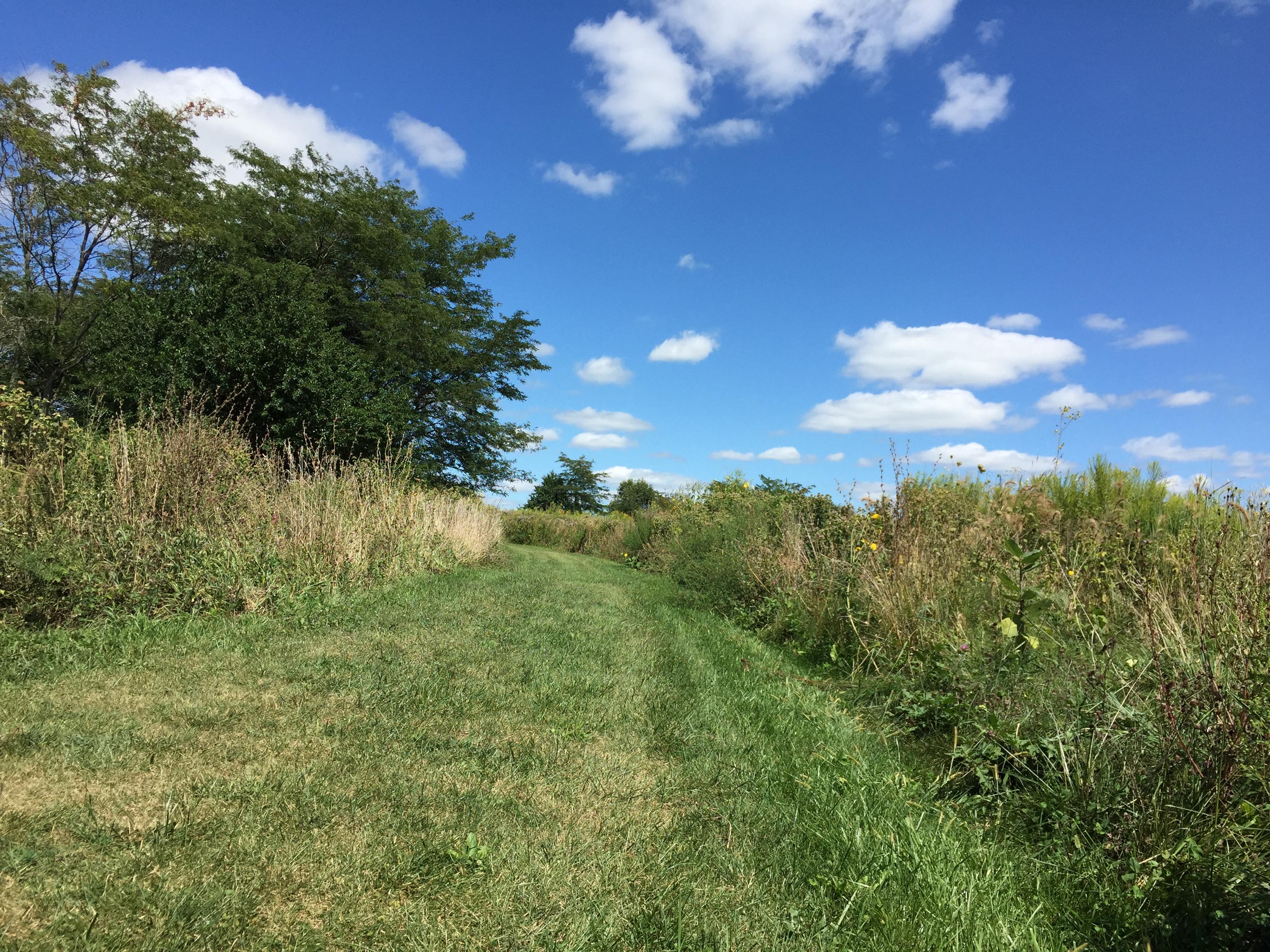 Sangamon River