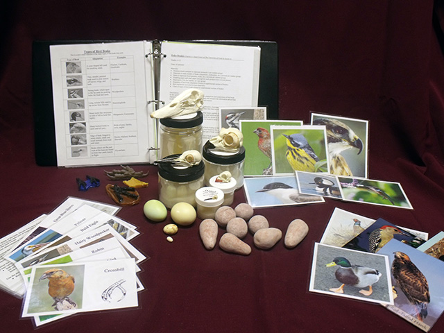 Bird Adaptation Loan Kit (hidden title)