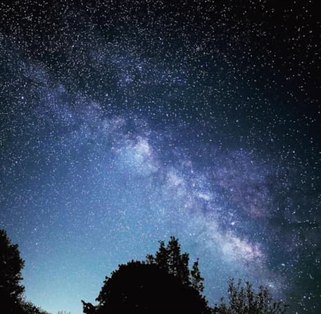 Instagram user @timweichselbaum