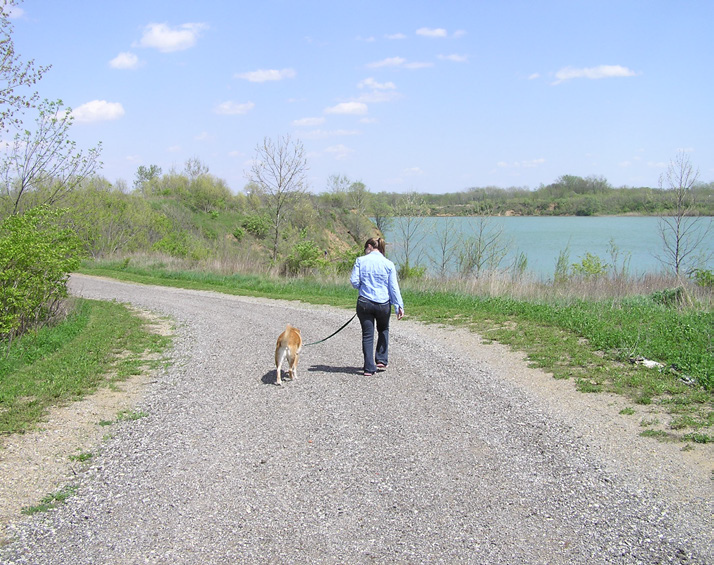 Dogleg Loop, River Bend Forest Preserve