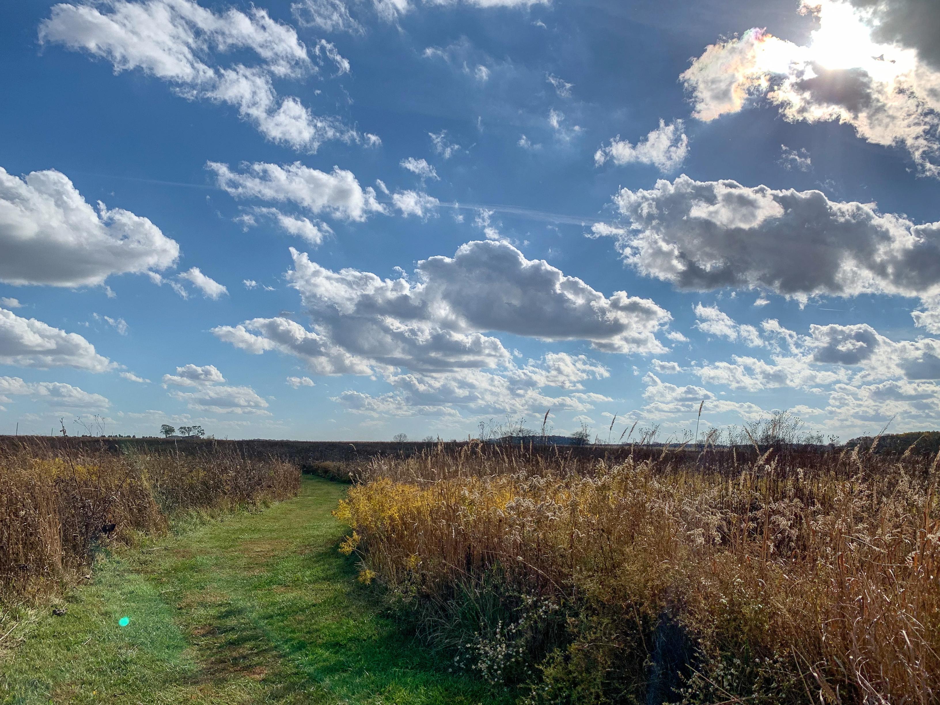 Prairie Trail, Sangamon River Forest Preserve